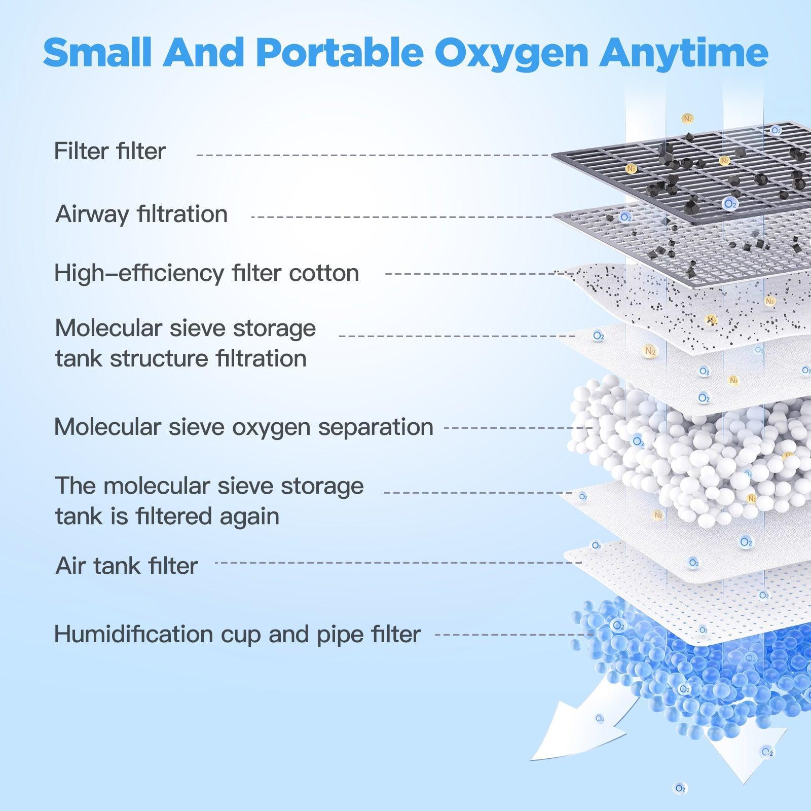 RAAROXY 3L/min Portable Oxygen Concentrator RS01-with 3 Disposable Nasal Oxygen Cannula - DEALER